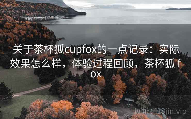 关于茶杯狐cupfox的一点记录：实际效果怎么样，体验过程回顾，茶杯狐 fox