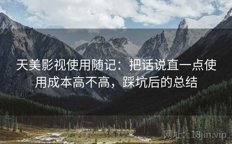 天美影视使用随记：把话说直一点使用成本高不高，踩坑后的总结